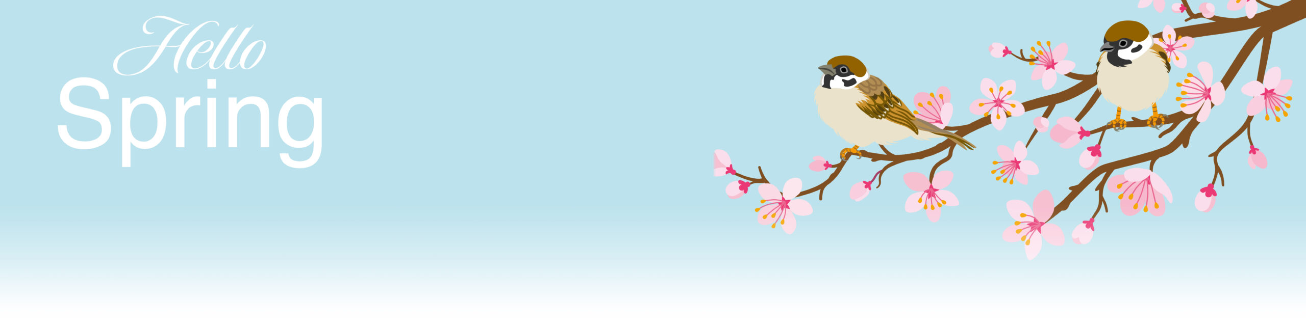 Spring Donation